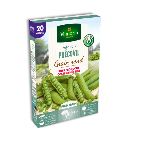 Légumes Secs - Pois Nain à Grain Rond Précovil - 20 m - face recto